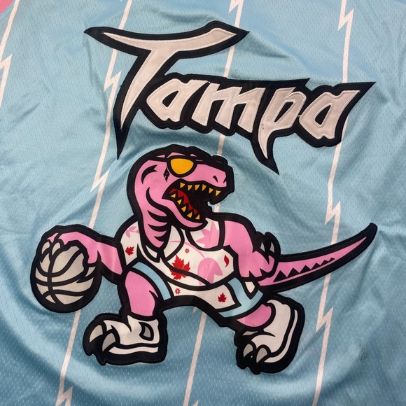 Tampa Bay Raptors “Toronto Raptors” Basketball Jersey Limited Edition Sz L - Picture 2 of 7